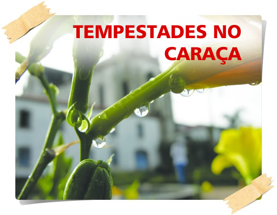 Após a tempestade, volta a paz no Caraça. (Esta foto fará parte da próxima exposição fotográfica do Padre Lauro Palú).