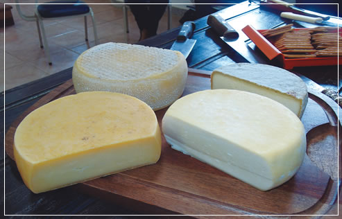 Queijos dos produtores Geraldo Quirino e sua esposa Regina de Barão de Cocais (Cocais). Curas que variam de 30 a 90 dias, e que dão sabores e texturas diferentes ao produto.